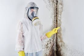 Best Mold Removal for HVAC Installations  in Browns Lake, WI